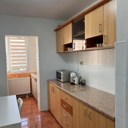 公寓 Darko 蒂米什瓦拉