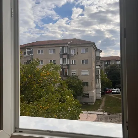 Darko 蒂米什瓦拉