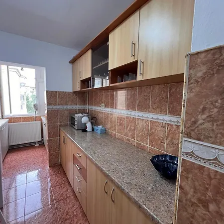Darko Apartment Timişoara